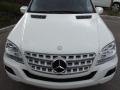 2010 Arctic White Mercedes-Benz ML 350  photo #11