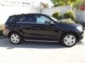 Black - ML 350 4Matic Photo No. 2