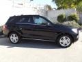 Black - ML 350 4Matic Photo No. 2