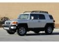 Titanium Metallic - FJ Cruiser 4WD Photo No. 4