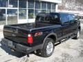 Black - F250 Super Duty FX4 Crew Cab 4x4 Photo No. 8