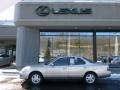 Cashmere Beige Metallic - ES 300 Photo No. 2