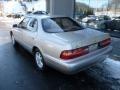 Cashmere Beige Metallic - ES 300 Photo No. 3