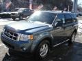 Steel Blue Metallic - Escape XLT V6 4WD Photo No. 4