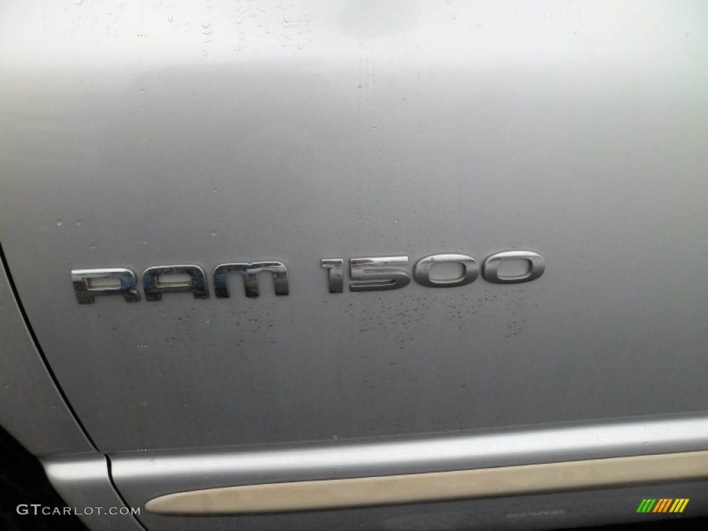 2002 Ram 1500 SLT Quad Cab 4x4 - Bright Silver Metallic / Dark Slate Gray photo #10