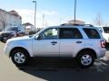 2009 Brilliant Silver Metallic Ford Escape XLT V6 4WD  photo #4