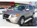 Golden Beige - Santa Fe GLS 4WD Photo No. 1