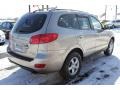 Golden Beige - Santa Fe GLS 4WD Photo No. 14