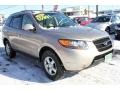 Golden Beige - Santa Fe GLS 4WD Photo No. 17