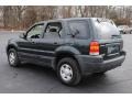 2003 Aspen Green Metallic Ford Escape XLS V6 4WD  photo #4