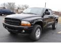 Black 2000 Dodge Dakota Sport Crew Cab 4x4