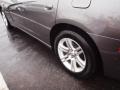 Tungsten Metallic - Charger Rallye Photo No. 4