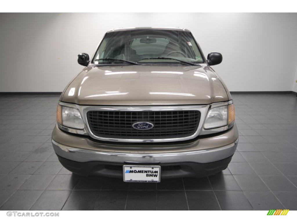 2001 Expedition XLT - Arizona Beige Metallic / Medium Parchment photo #6