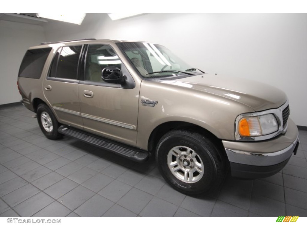 2001 Expedition XLT - Arizona Beige Metallic / Medium Parchment photo #8