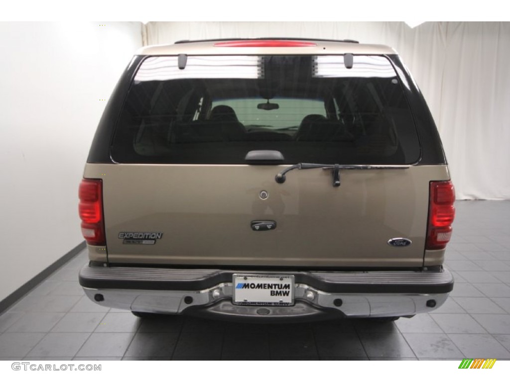 2001 Expedition XLT - Arizona Beige Metallic / Medium Parchment photo #13