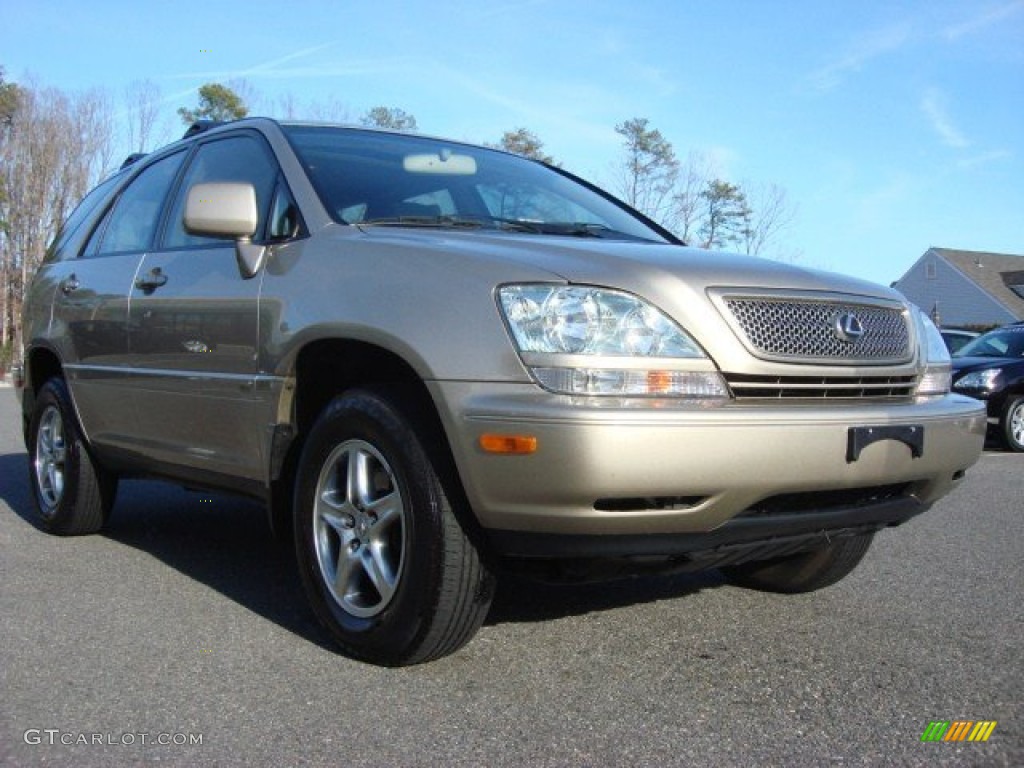 2002 RX 300 - Burnished Gold Metallic / Ivory photo #1