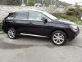 2010 Obsidian Black Lexus RX 350  photo #2