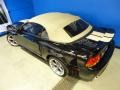 1999 Black Ford Mustang SVT Cobra Convertible  photo #31