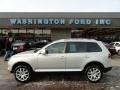 White Gold Metallic - Touareg 2 VR6 Photo No. 1