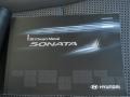 Radiant Silver - Sonata GLS Photo No. 17