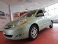 Silver Pine Mica 2010 Toyota Sienna XLE