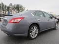 2010 Ocean Gray Nissan Maxima 3.5 SV Premium  photo #5