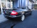 Black - CLK 350 Cabriolet Photo No. 21
