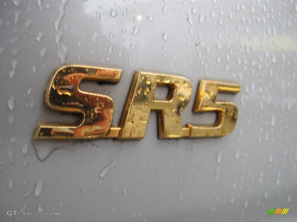 1996 4Runner SR5 - Desert Dune Metallic / Beige photo #14
