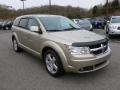 Light Sandstone Metallic - Journey SXT AWD Photo No. 1