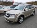 Light Sandstone Metallic - Journey SXT AWD Photo No. 3