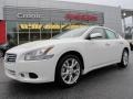 Winter Frost White - Maxima 3.5 SV Photo No. 1