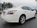 Winter Frost White - Maxima 3.5 SV Photo No. 5