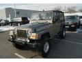 Light Khaki Metallic - Wrangler Unlimited 4x4 Photo No. 4