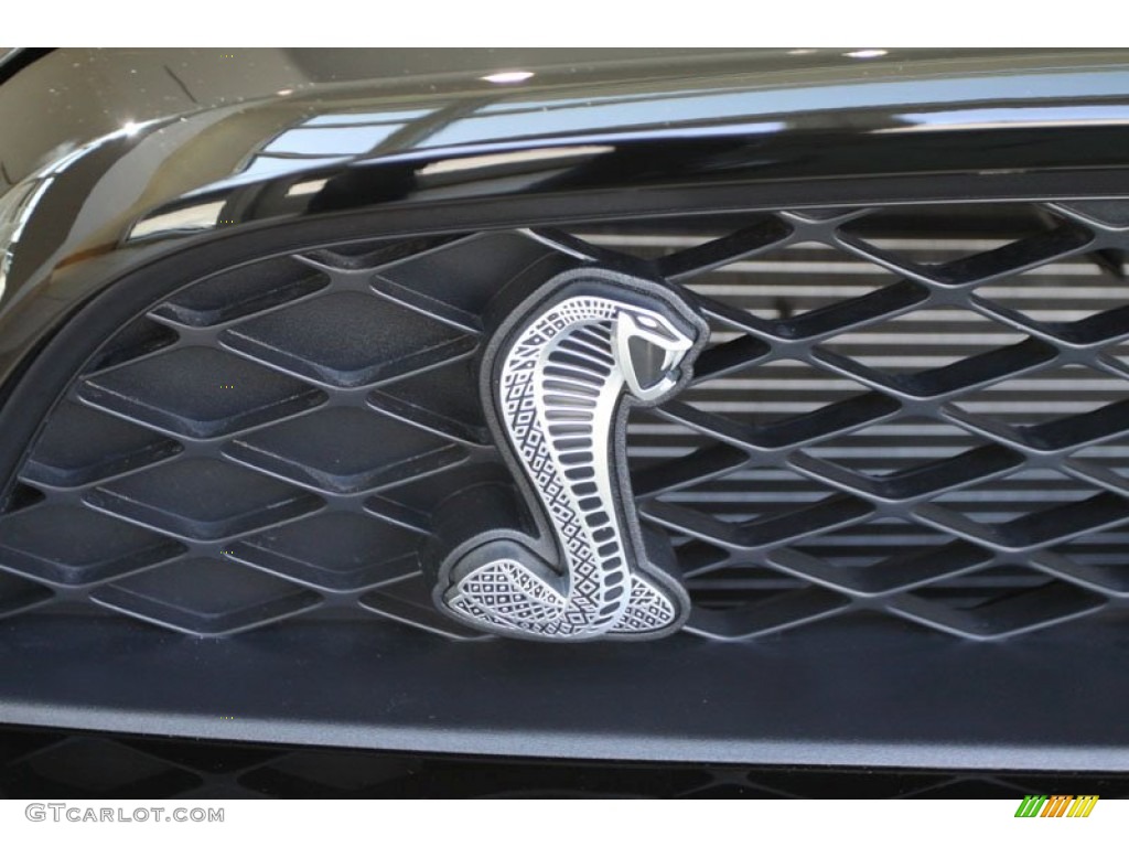 2011 Mustang Shelby GT500 SVT Performance Package Coupe - Ebony Black / Charcoal Black/Black photo #9