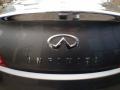 Graphite Shadow - G 37 x AWD Coupe Photo No. 12