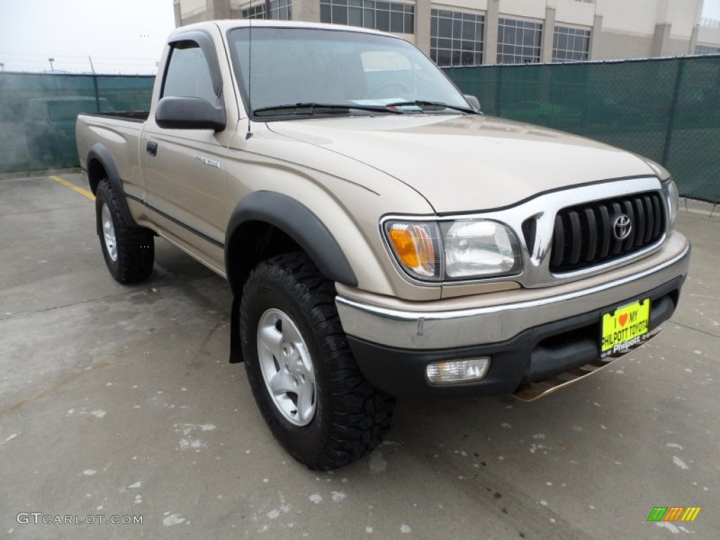 2004 Tacoma Regular Cab 4x4 - Mystic Gold Metallic / Oak photo #1
