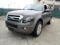 2012 Sterling Gray Metallic Ford Expedition Limited  photo #7