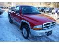 2003 Flame Red Dodge Dakota SLT Regular Cab 4x4  photo #14