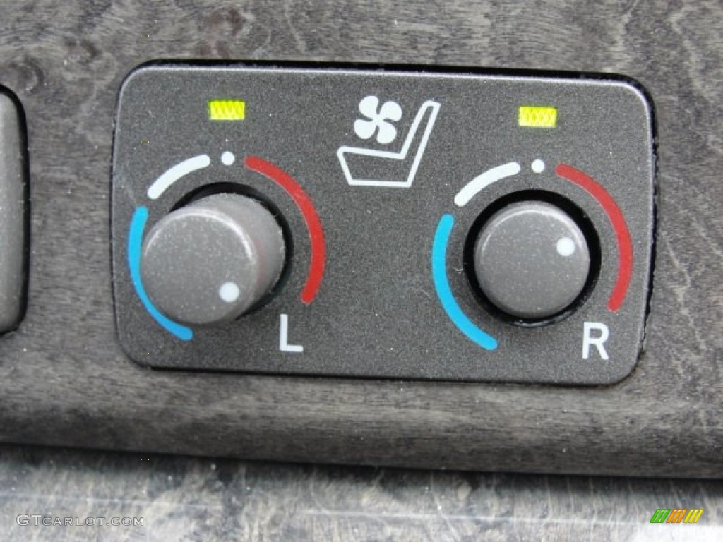 2002 LS 430 - Millennium Silver Metallic / Ivory photo #31