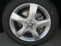 Arctic White - R 350 4Matic Photo No. 10