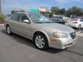 Sunlit Sand Metallic - Maxima GLE Photo No. 3