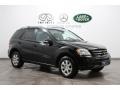 Black - ML 350 4Matic Photo No. 1