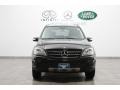 Black - ML 350 4Matic Photo No. 3