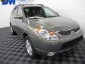 2008 Natural Khaki Metallic Hyundai Veracruz SE AWD #61027036