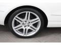 2010 Arctic White Mercedes-Benz E 350 Coupe  photo #23