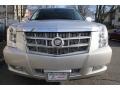 2010 Silver Lining Cadillac Escalade Platinum AWD  photo #2