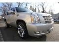 2010 Silver Lining Cadillac Escalade Platinum AWD  photo #7