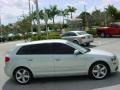 Ice Silver Metallic - A3 2.0T Photo No. 6
