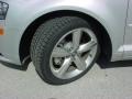 Ice Silver Metallic - A3 2.0T Photo No. 14