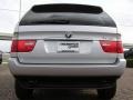 2005 Titanium Silver Metallic BMW X5 3.0i  photo #4